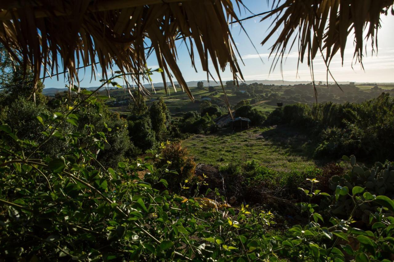 Maison D'Hotes Berbari Asilah Eksteriør billede